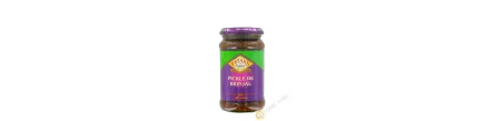 Brinjal Aubergine pickle PATAK 312g United Kingdom