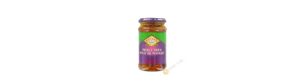 Mango pickle Caldo PATAK 283g Regno Unito