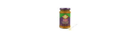 Mango de pepinillos leve (picante) PATAK S 283 g Reino Unido