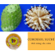 Soursop sweet 200g