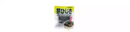 Alga hijiki Mehijiki secchi DAICHI 35g Giappone