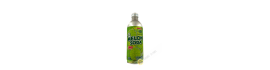 Japanese lemonade melon soda SANGAR IA 500ml Japan