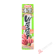 Pate de wasabi en tube SB 43g JP