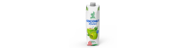 Coconut Water Ben Tre 3 BAMBOO 1L Vietnam