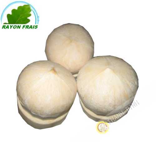 Noix Coco xiem Ben Tre frais (pièce) - FRAIS