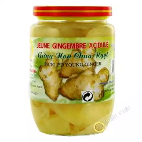 Jeune gingembre acidulé DRAGON OR 390g Vietnam