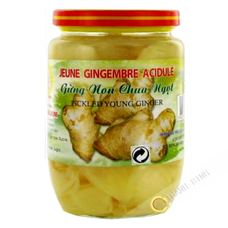 Young ginger acid 390g