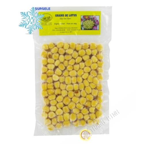 Hạt giống lotus EXOSTAR 200g Việt Nam - SURGELES