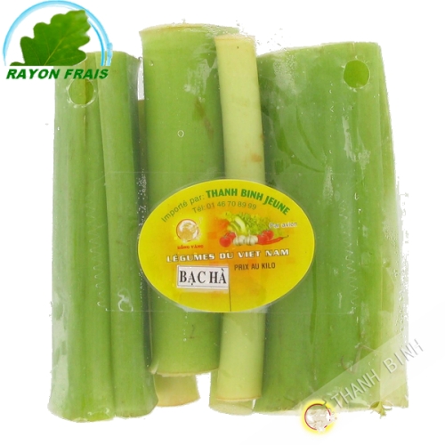 Bạc hà ( dọc mùng ) Việt Nam 200g- Tươi