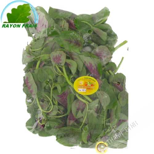 Spinaci rau Den Vietnam 100g - FRESCO