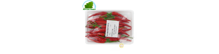 Red chilli 100g - FRESH