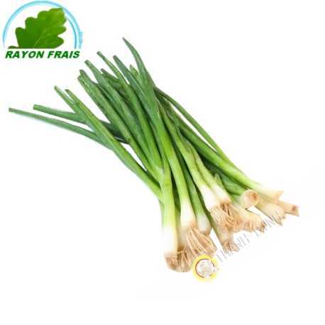 Chives 100g