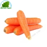 Carrot France 800g - FEE