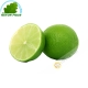 Lime (kg)