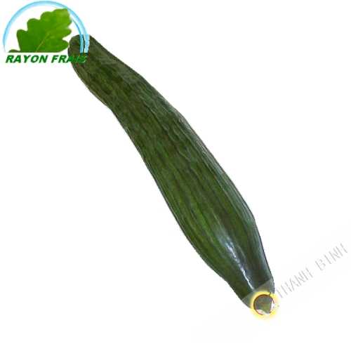 Cucumber (piece)