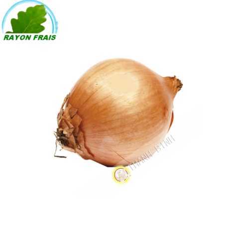 White onion (kg)