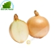 White onion (kg)