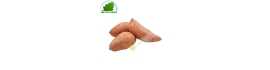 Sweet potato AFS (kg)- COST