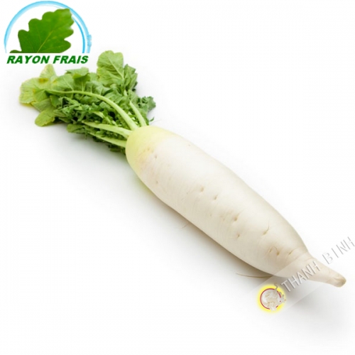 White radish (piece)