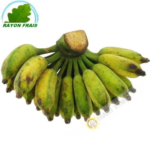 Banana Chuoi Su Vietnam 4pcs - COSTS - Approx. 500g