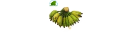 Chuoi Banane Su Vietnam 2kgs KOSTEN