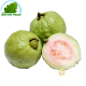 La guayaba de Vietnam (kg)