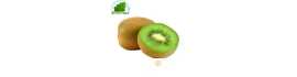 Kiwi Verde Grecia (Net-3 unidades)- COSTOS de