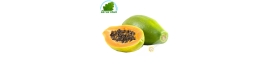 Papaya GM Brasil (habitaciones)- COSTO - Aprox. 1,2 kg