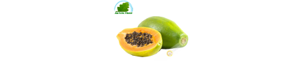 Papaya GM Brasilien (stück)- KOSTEN - Ca. 1,2 kg