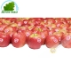 Apple Pink Lady (kg)